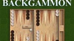 Le regole del backgammon online